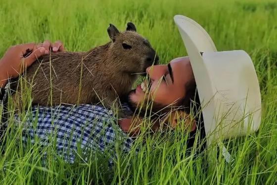 No Instagram, Agenor conta que Filó ficará em seu habitat natural