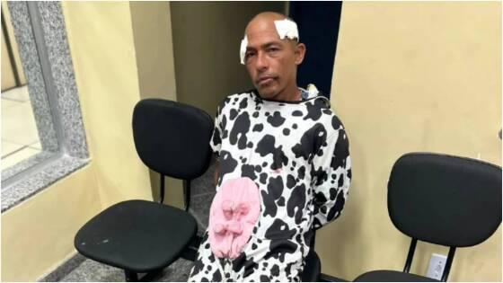 Homem vestido de vaca é preso após tentar furtar mochila