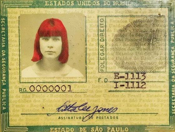 Rita Lee deixou "profecia" sobre sua morte: "Nenhum político se atreverá a comparecer ao meu velório".