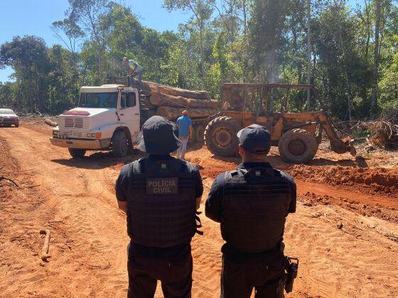 Políticos são donos de madeireiras que utilizam terceiros como "laranjas" para mascarar comércio irregular 