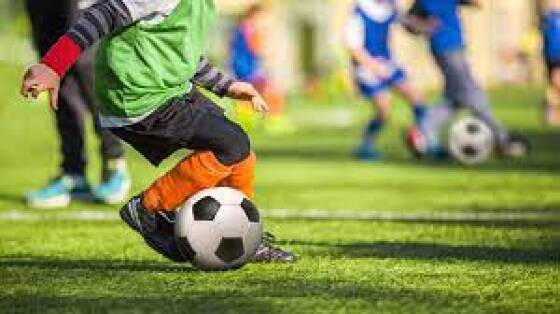  Cadastro Estadual de Treinadores e de Escolinhas de Futebol (CETEF)