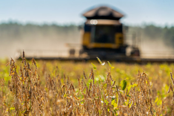 Com destaque para produção de milho e soja, exportações brasileiras batem recorde para agosto  