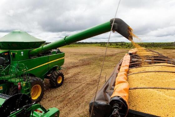 Preço da soja em Mato Grosso sobe ligeiramente e alcança R$ 129,50 por saca