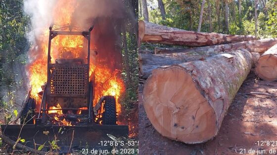 A Operação investigou extração ilegal de madeira no Parque Indígena do Xingu (PIX), em Mato Grosso