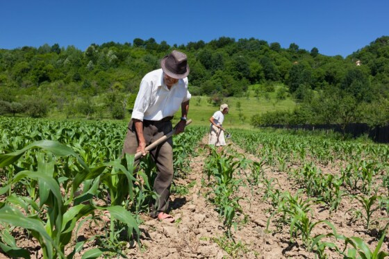 Programa será destinado à promoção de ações de pesquisa e inovação voltadas para a agricultura familiar