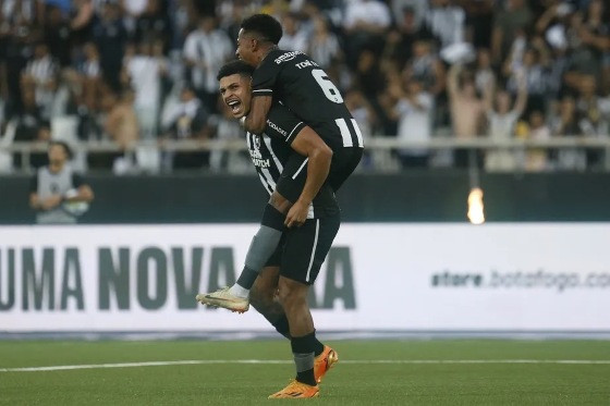 Botafogo chega a 58,1%, enquanto Flamengo e Palmeiras aparecem com 8,8% e 3,4%, respectivamente