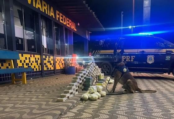Motorista foi preso e autuado pelo crime de tráfico de drogas