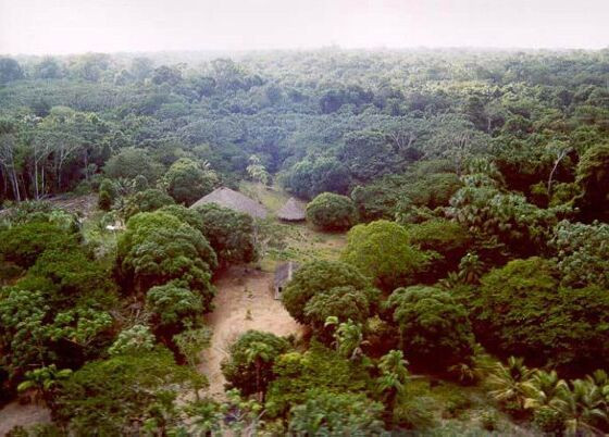 FUNAI aprova demarcação de terra indígena Kapôt Nhinore;  em MT área tem 141 propriedades não indígenas