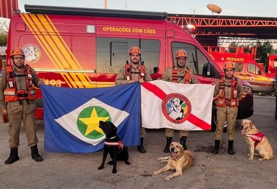 Bombeiros e cães de MT 