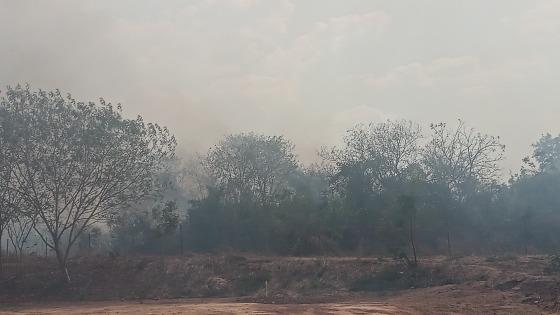 Incêndio atinge vegetação na região do Carrapicho em VG e assusta moradores 