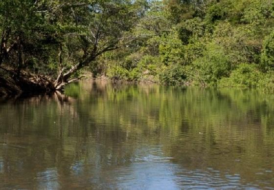 Homem morre afogado em rio na comunidade do Engordador em VG 