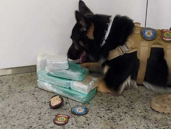 Passageira de Cuiabá é presa em aeroporto de Garulhos