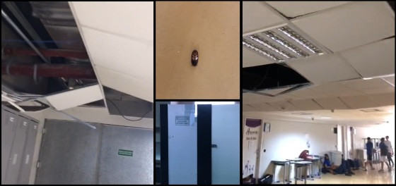 Vídeo mostra forro caindo e fiação exposta na escola estadual da Arena Pantanal