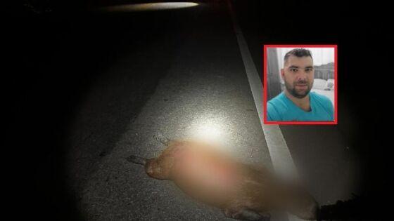 Motociclista morre atropelado por caminhão após colidir contra Capivara morte na pista 