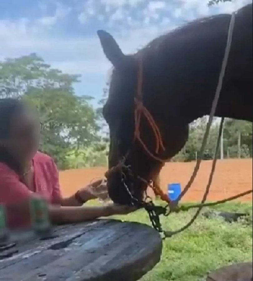 VÍDEO: homem é flagrado dando cerveja a cavalo no interior de MG, Centro-Oeste