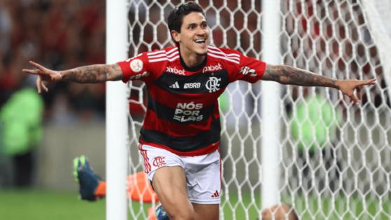 Em clássico, Flamengo vence Palmeiras e sonho de ser campeão do Brasileirão renasce .