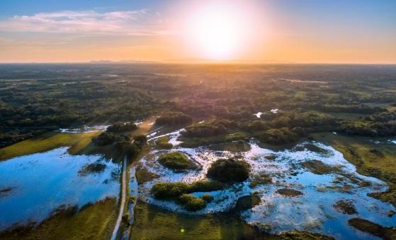 Mapa fortalece agropecuária pantaneira; serão investidos 2 bilhões no Pantanal