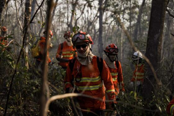 BID Pantanal vai injetar R$ 30 mi para prevenção de incêndios.