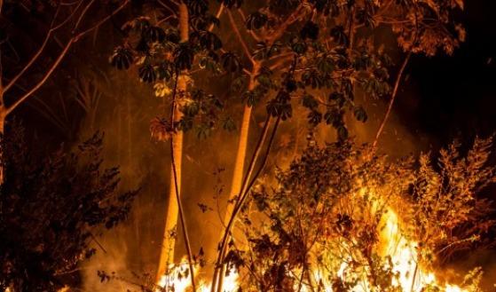 Prefeito de Poconé decreta situação de emergência após proporção nos incêndios florestais 