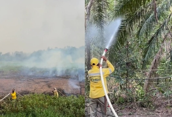 Chuva traz alívio, mas não extingue todos os focos, diz Bombeiros sobre incêndio no Pantanal