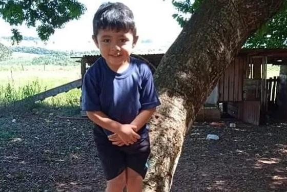 menino de 6 anos morre ao cair da carroceira da caminhonete do pai 