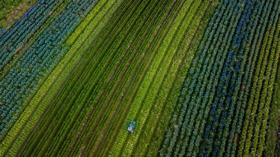 El Niño pode impactar safra até outono do ano que vem e alerta para La Niña em 2024/25.