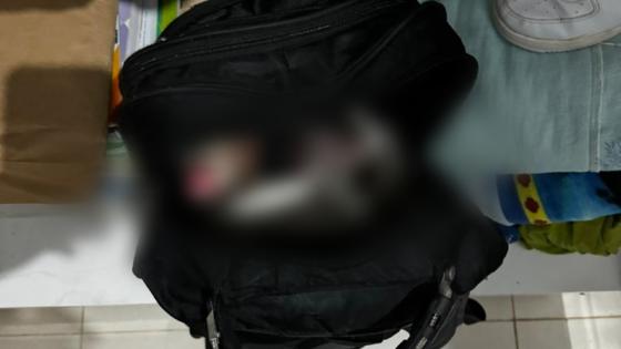 Feto é encontrado dentro de guarda-roupa em residência de Cuiabá 