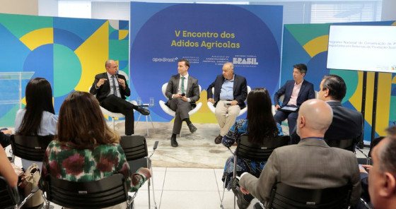 Adidos vão apresentar ao mundo programa brasileiro de recuperação de pastagens