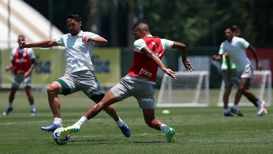 Favorito ao  título, Palmeiras deve contar com três reforços para enfrentar o Fluminense 