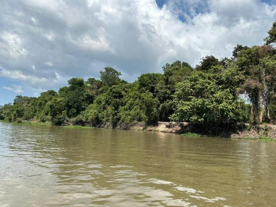 Deputado afirma que garimpo ilegal de ouro decreta a morte de rio em MT