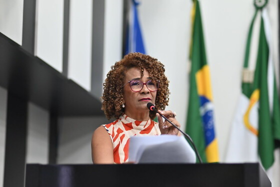 Em retorno à Câmara, vereadora diz que colegas lhe devem respeito 