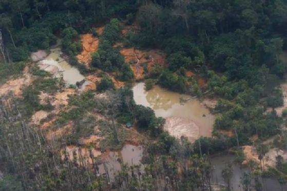 Ministério aprova diretriz para emprego temporário das Forças Armadas na Terra Indígena Yanomami