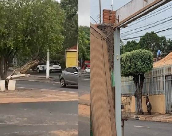 Temporal em Cuiabá e VG registra queda de árvores e de energia em diversos bairros