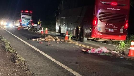 Casal morre em colisão com caminhão ao desviar de bezerro MT-010