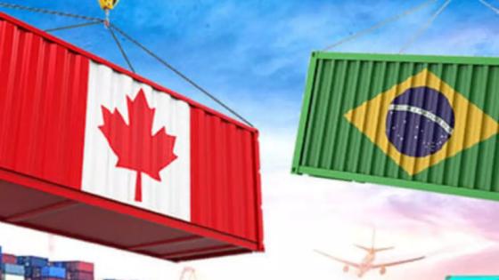 Brasil amplia área de exportação de carne bovina para o Canadá.