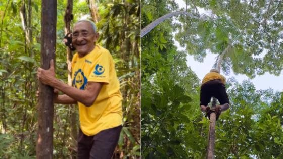 Idoso de 81 anos surpreende internautas ao subir em árvore com facilidade