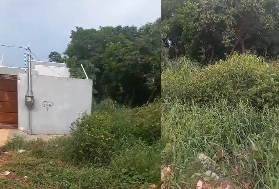 Moradores de VG denunciam sujeira em terrenos e temem dengue
