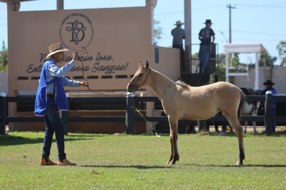 11ª Edição da Semana do Cavalo tem shows nacionais com entrada gratuita em Cuiabá