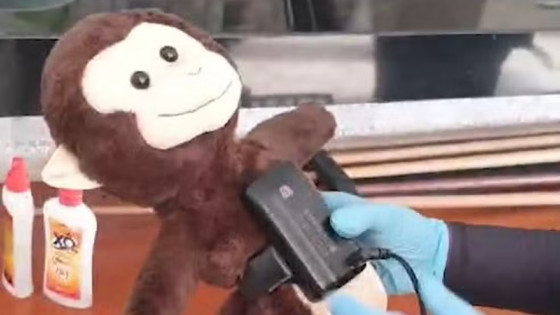 Polícia encontra macaco de pelúcia com tornozeleira eletrônica em casa de luxo durante operação 