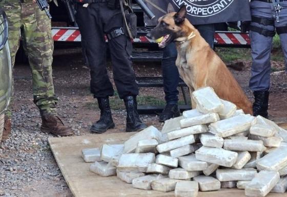 Motorista é preso transportando drogas em caminhão frigorífico em VG 