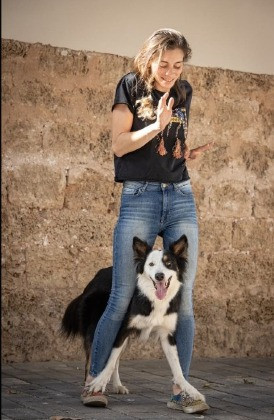 Cachorro dança com tutora