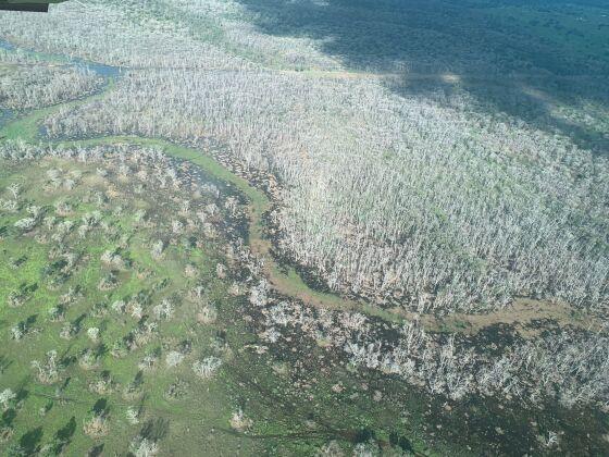 Fazendeiro que desmatou o Pantanal é multado em R$ 2,8 bilhões 