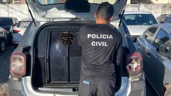 Dois são presos em flagrante por tráfico de drogas em Cuiabá 