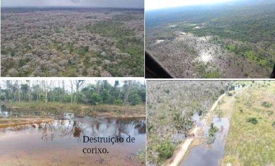 Governo de MT não consegue ver desmatamento de mais 80 mil hectares no Pantanal, mas "mira pobres pescadores"  