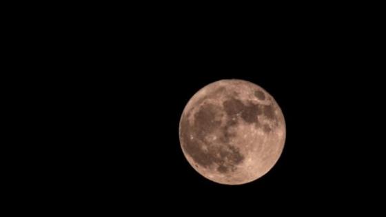 "Lua Cheia Rosa" ficará visível em todo o Brasil nesta terça-feira
