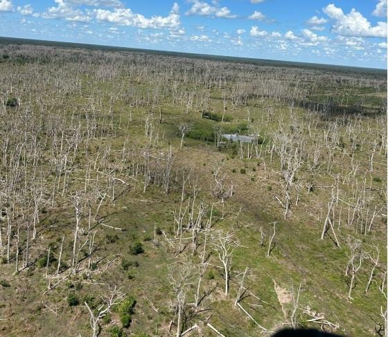 Fazendeiro fez acordo na Sema e se livrou de multa de R$ 29 milhões enquanto destruía Pantanal com agrotóxicos