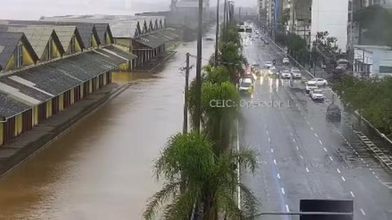 Rio Guaíba; Nível; Alerta; Enchente; Porto Alegre; VG Notícias; 