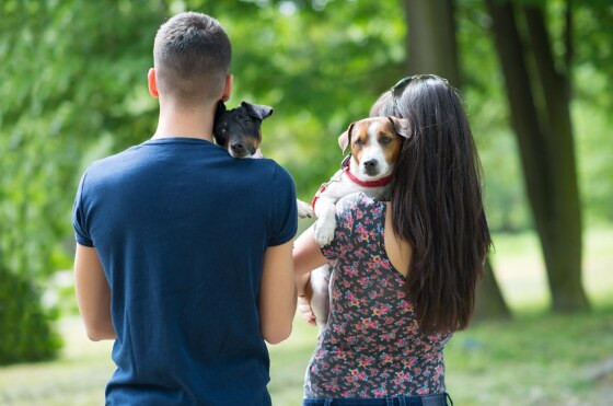 Projeto de lei regulamenta guarda de animal de estimação após separação