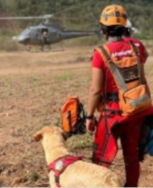 Durante as ações, os bombeiros realizam também o resgate de animais, alimentando-os e encontrando abrigos seguros.