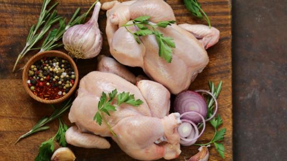 Países retiram restrições à carne de frango após foco de Influenza Aviária.